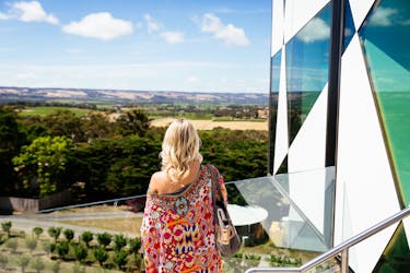 Adelaide’s McLaren Vale and The Cube experience